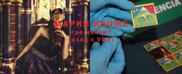 индика Михайловск