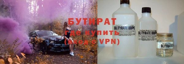 индика Михайловск
