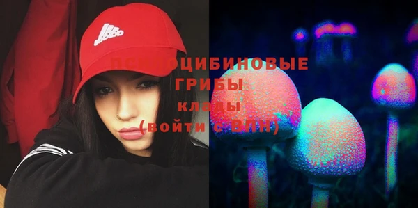 амф Медногорск
