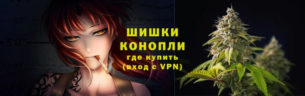 шишки Кирс