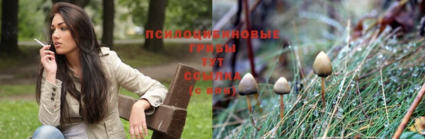 амф Медногорск