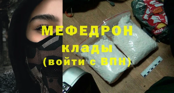 индика Михайловск